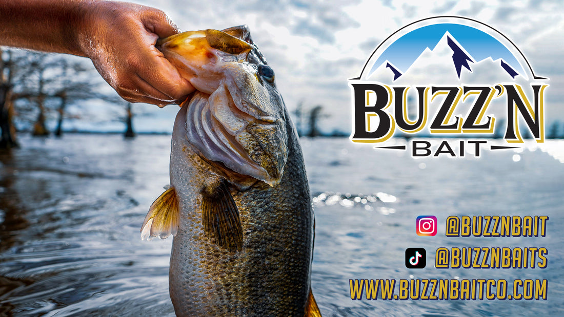 Choosing a Spinning Reel or Bait Caster – Buzz'n Bait Co.